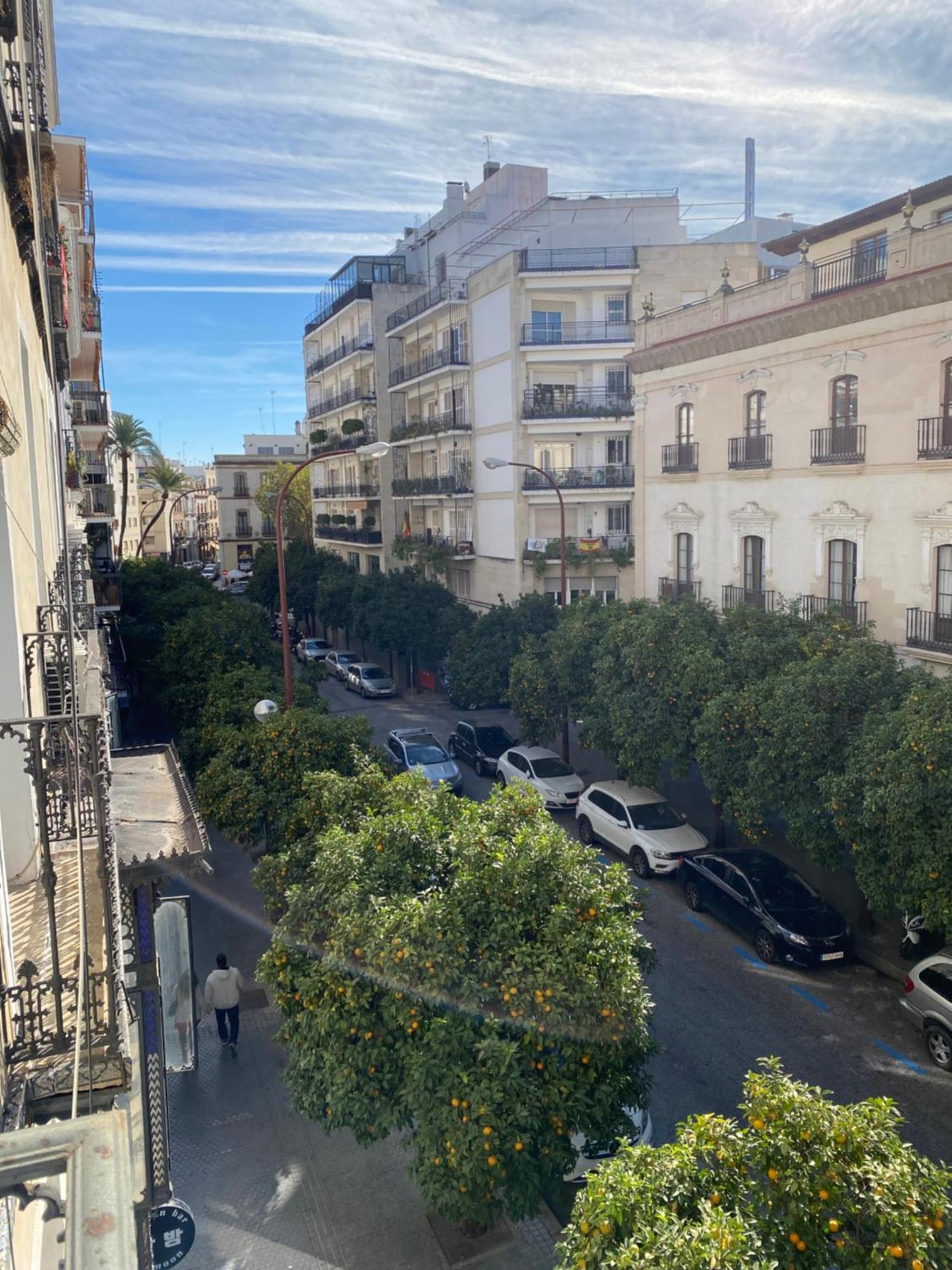 Apartamento Centro Sevilla Εξωτερικό φωτογραφία